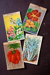 20s フランス 4set 膨満な花々と野菜たち 種子袋用ラベルo アンティーク