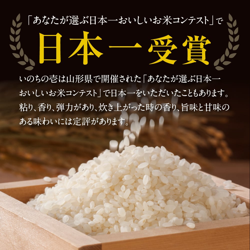 希少米！いのちの壱 2kg 飛騨高山産 精米済 　飛騨牛と共に。【令和5年産】