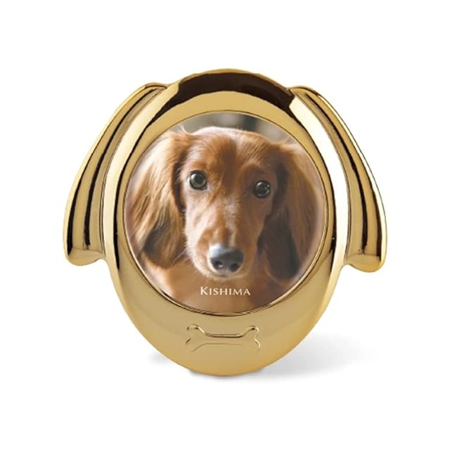 シーグラスアート ダックスフンド　おやつの時間 犬 ペット プレゼント シーグラスアート ダックスフンドのおやつの時間 犬 ペット プレゼント