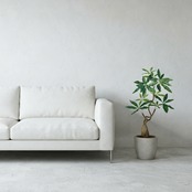 ねじれミニパキラ85［人工観葉植物・フェイクグリーンT］