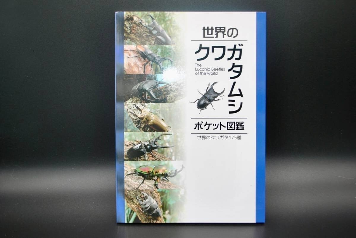 世界のクワガタムシ ポケット図鑑 | クワガタムシ・カブトムシ専門