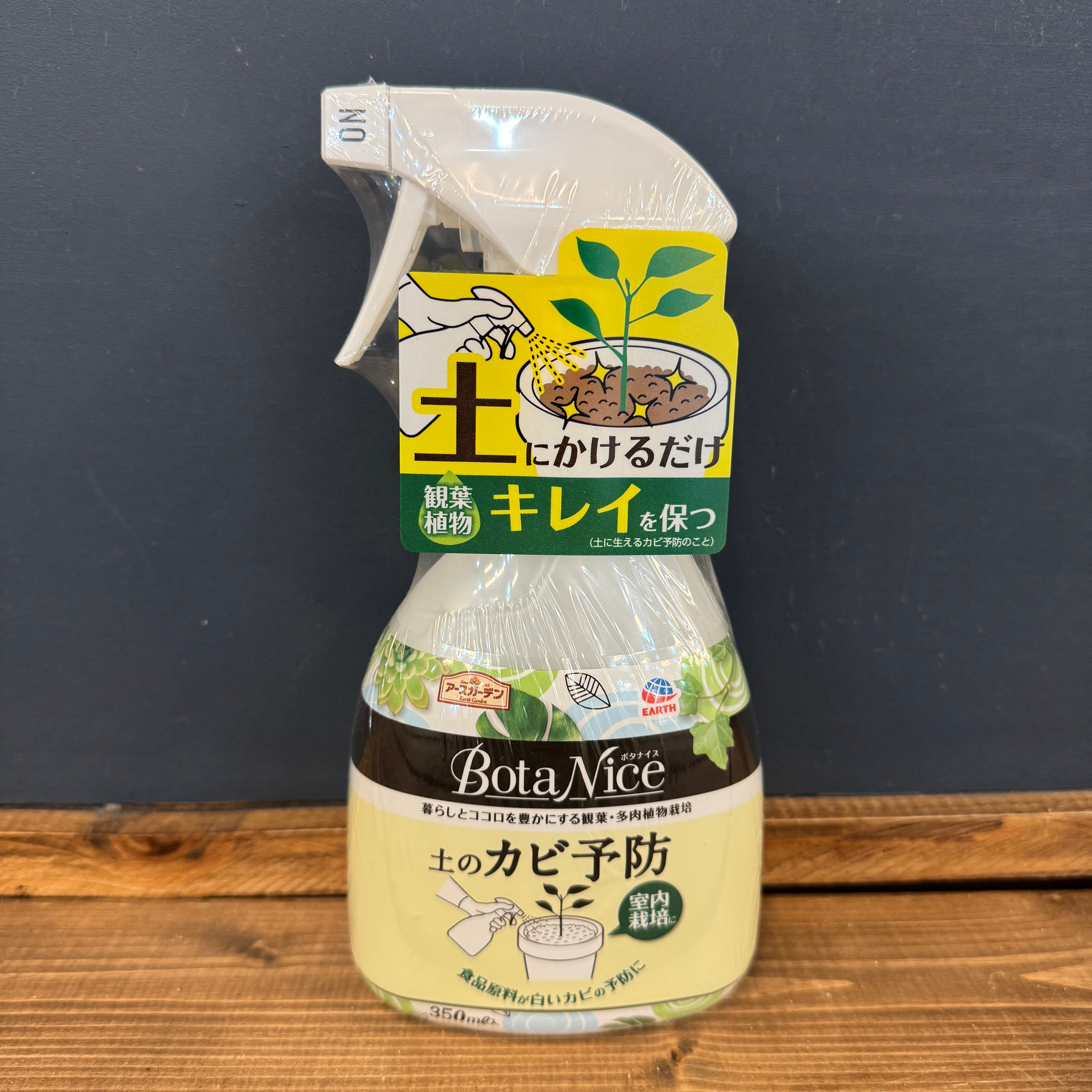 【28日23時入札〆切】【コメントお得】エボリスピナ 実生 陽炎コレクション株② ﾎﾞﾀﾅｲｽ土のｶﾋﾞ予防350ml | PROTOLEAF プロトリーフ