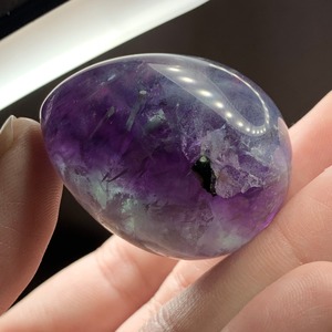 T45.エンジェルフェザーフローライト たまご