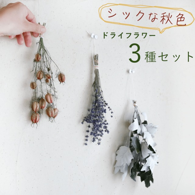 シックな秋色 ドライフラワー3種セット 富良野ラベンダー ニゲラ ホワイトポプラ ＊ 茎付だから吊るして楽しめる♪ ナチュラルインテリアにおしゃれな枝もの ♪ 小さい お試しセット 初心者向け ＊ 木の実 ハンドメイド キット 枝もの 木の枝 吊るす 北欧 ナチュラルカラー