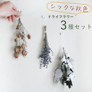 シックな秋色 ドライフラワー3種セット 富良野ラベンダー ニゲラ ホワイトポプラ * 茎付だから吊るして楽しめる♪ ナチュラルインテリアにおしゃれな枝もの ♪ 小さい お試しセット 初心者向け * 木の実 ハンドメイド キット 枝もの 木の枝 吊るす 北欧 ナチュラルカラー
