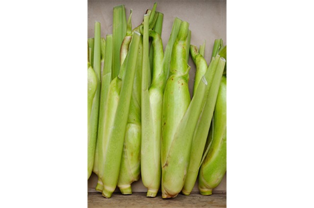 マコモダケ(千葉県産)・300g