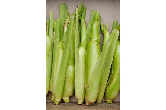 マコモダケ(千葉県産)・300g