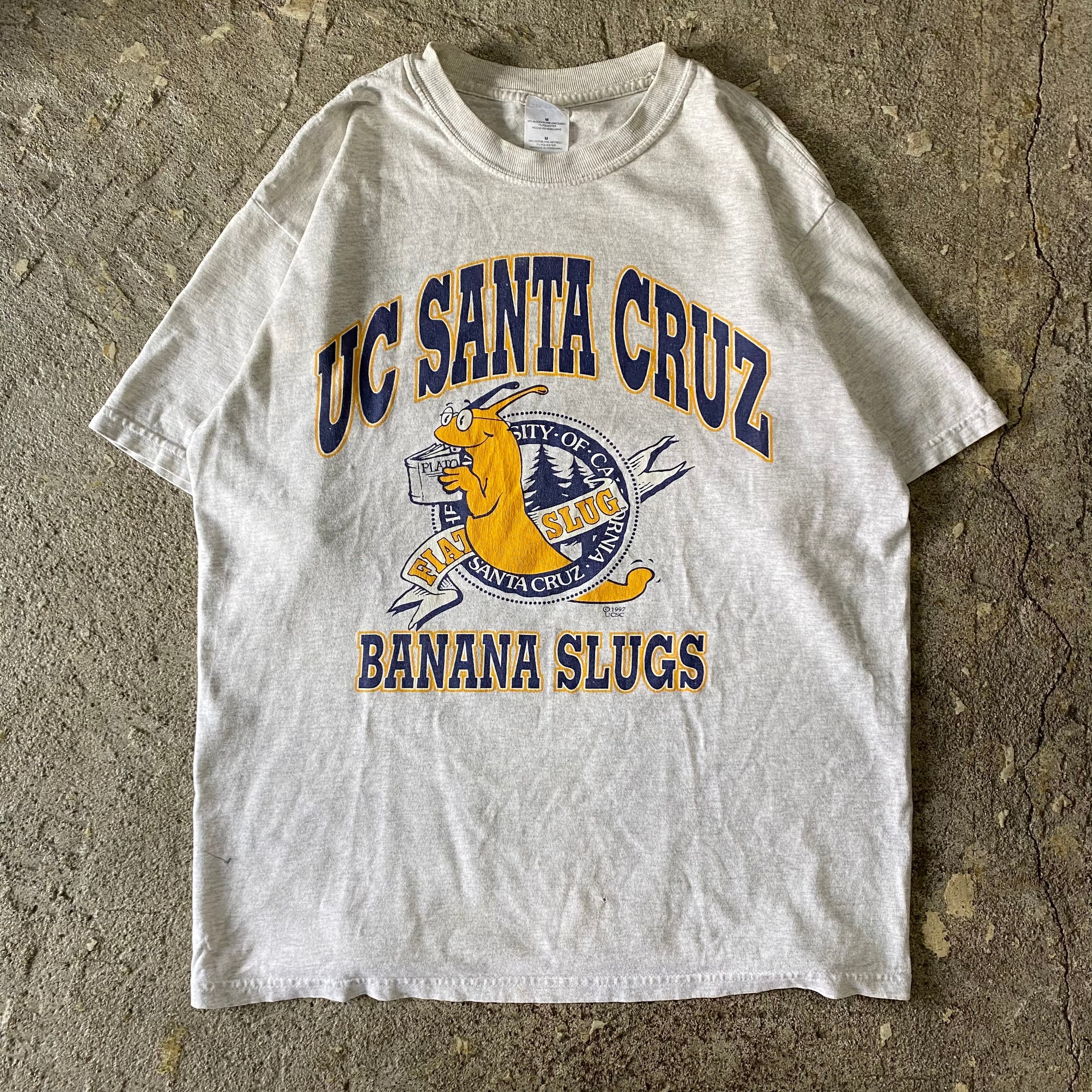 【激レア】90s オリジナル UCSC BANANA SLUG 2XL グレー