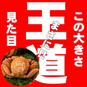 山口水産　匠の極上仕上げ　１尾５００グラム前後　【ボイル・冷凍・個数色々選択できます】
