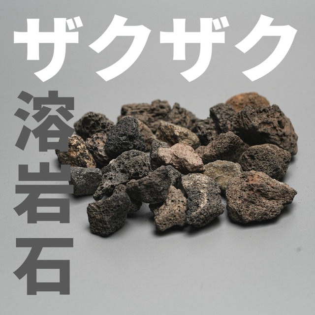 100g単位】黒いザクザク溶岩石 | 極光金魚展