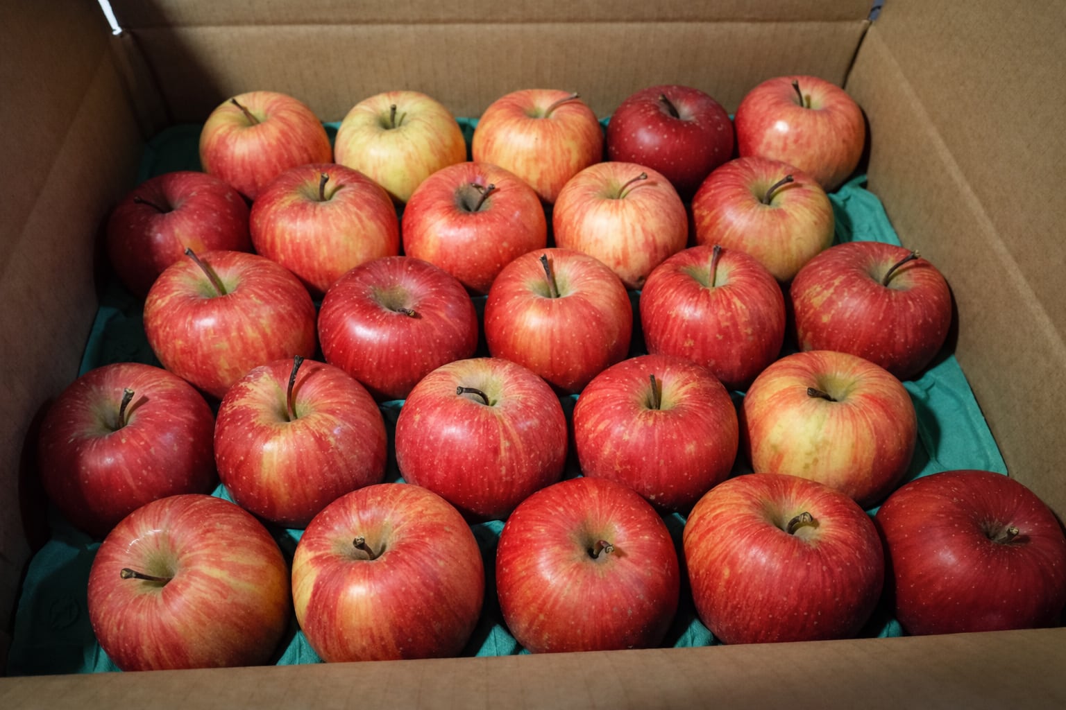 あきた 葉取らずサンふじ 5kg 訳あり