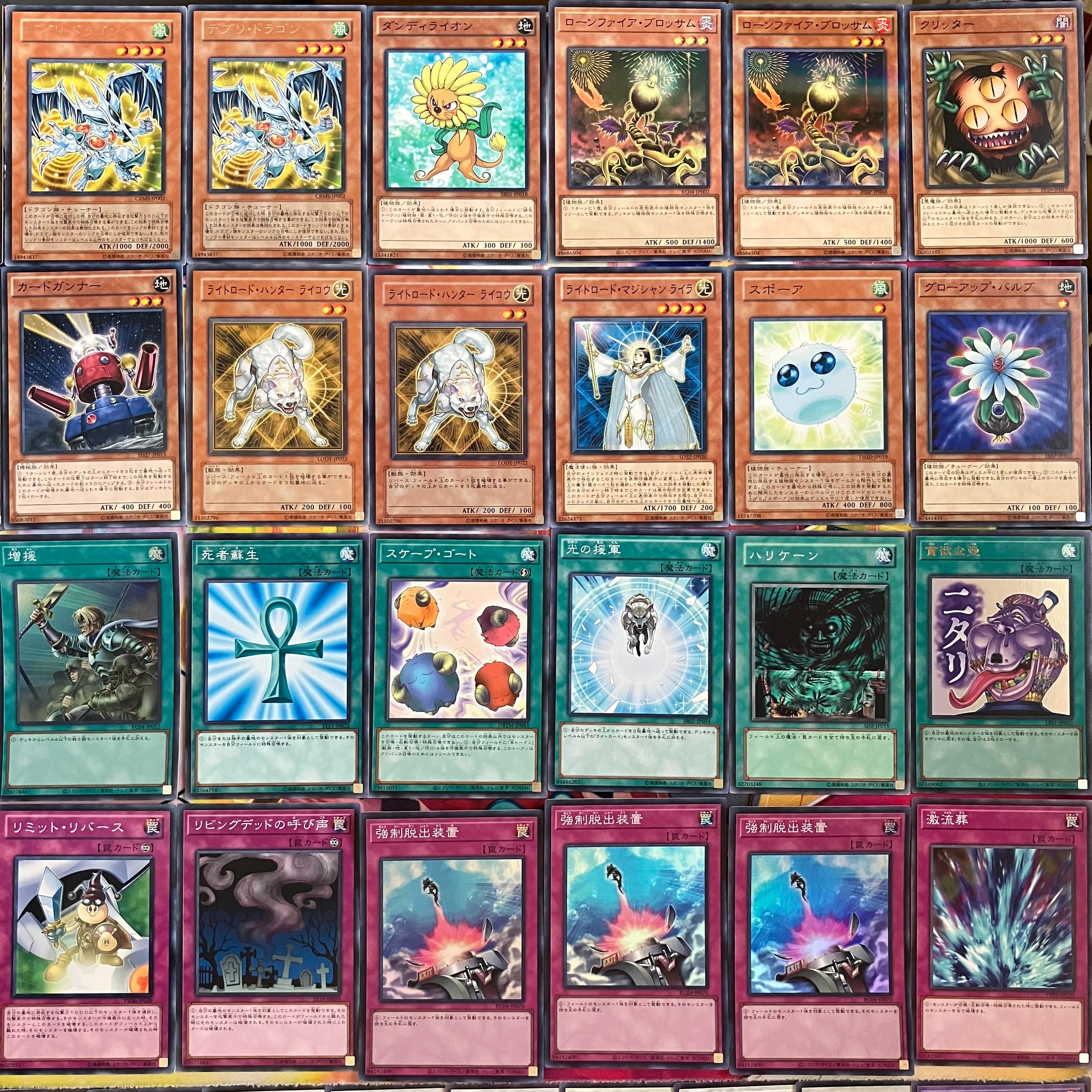 1103環境 デブリダンディ ジャンド デッキ 遊戯王 ゲートボール | PAY ID