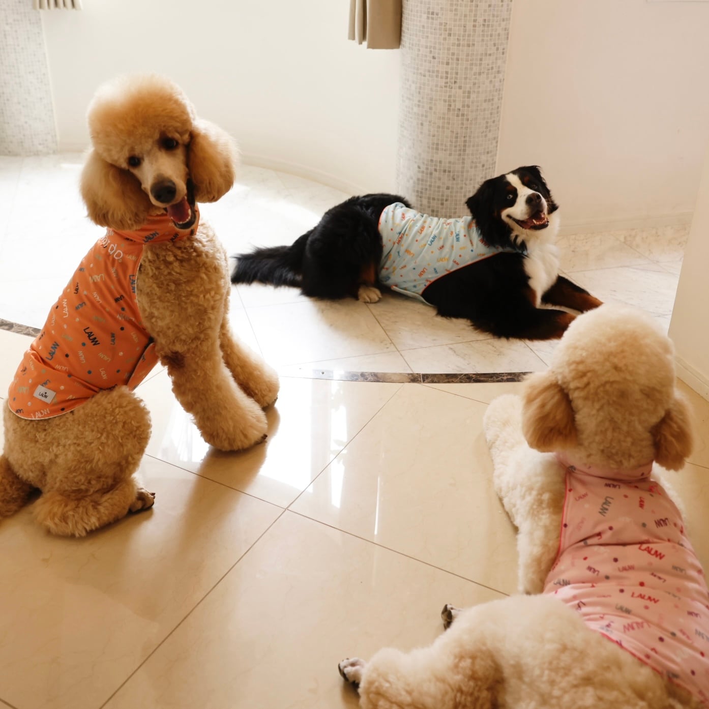 専用　クール犬服　大型犬 クールDOGウエア XXLサイズ 超大型犬サイズ | LAUW（ラウー）