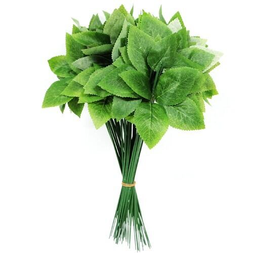 葉付茎（50本入り）