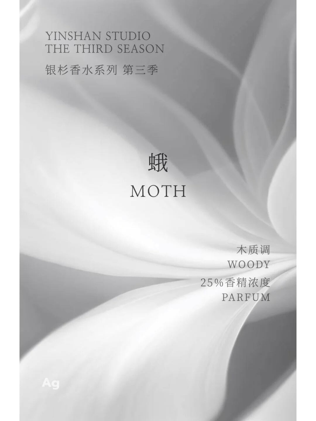 銀杉】MOTH | 香跡万里KOUSEKIBANRI