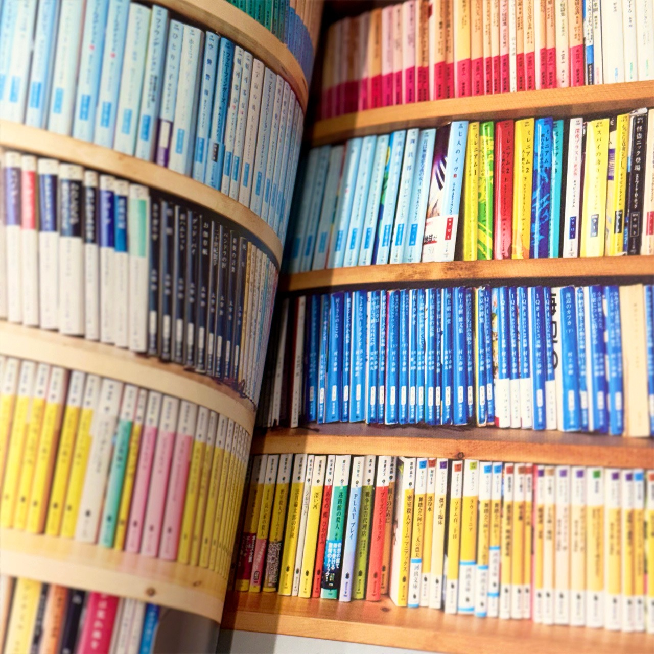 積ん読の本