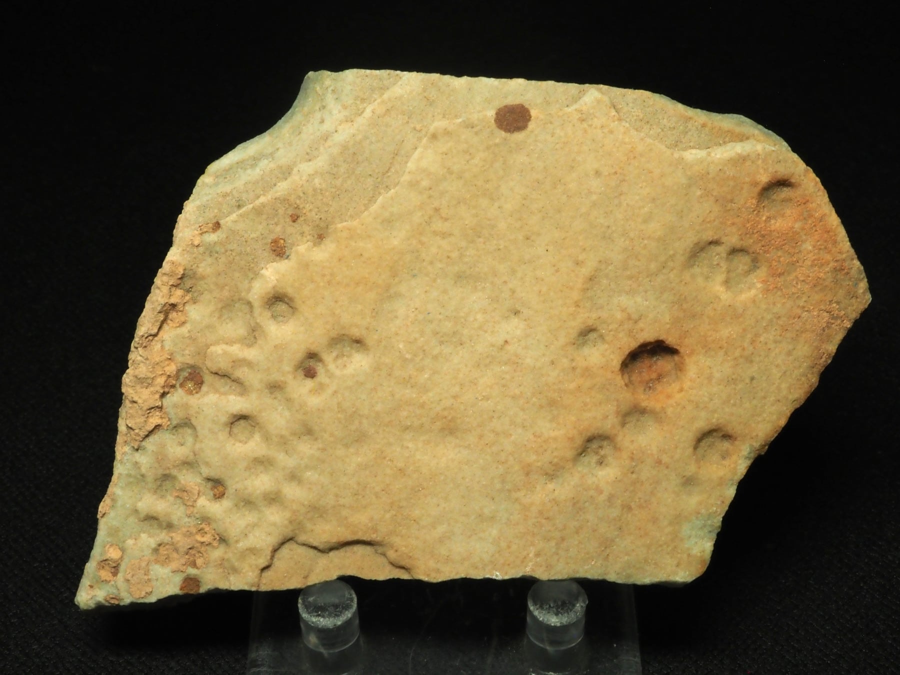 化石　E-6 ナミビア産！エディアカラの化石【Namacalathus hermanastes】【175 g