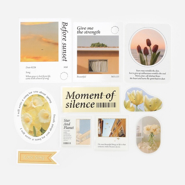 BGM　写真・イエロー　ミックスシール　BG21