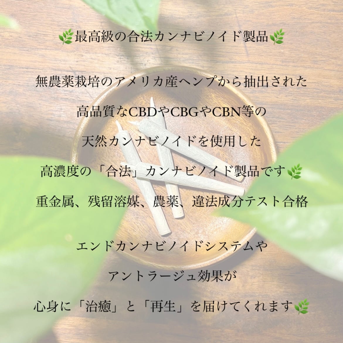 CBN アイソレート 原料 8g CBN HERB | 愛