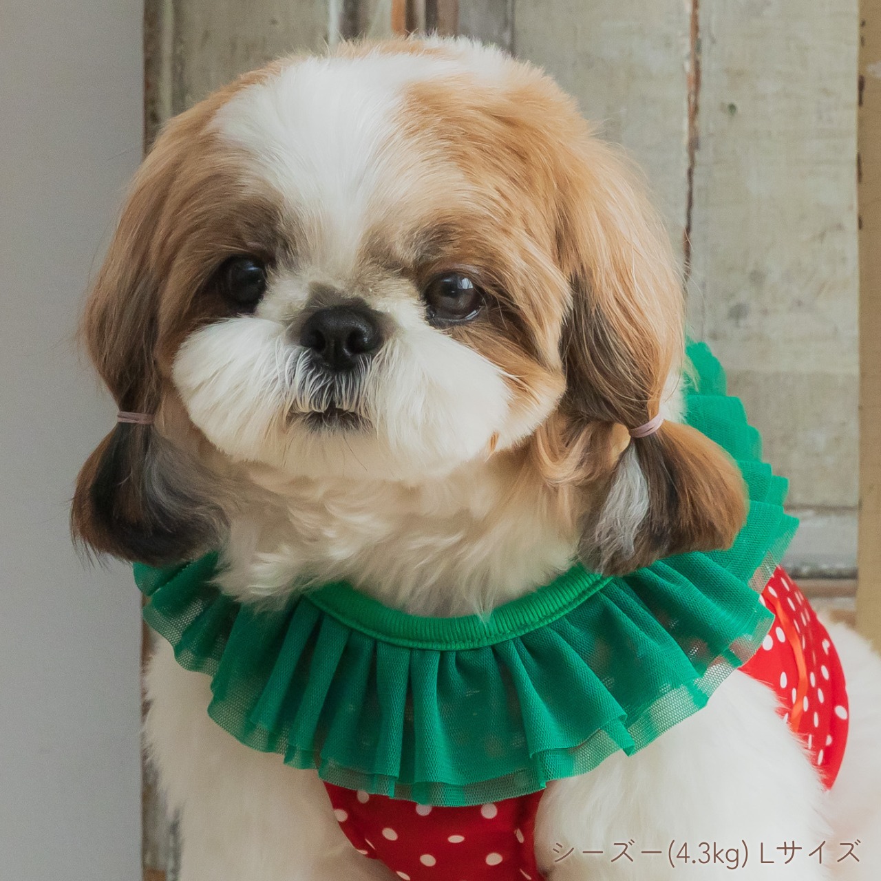 ＼ LLサイズ登場！／ 冷感いちごハーネス