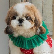 ＼ LLサイズ登場！／ 冷感いちごハーネス