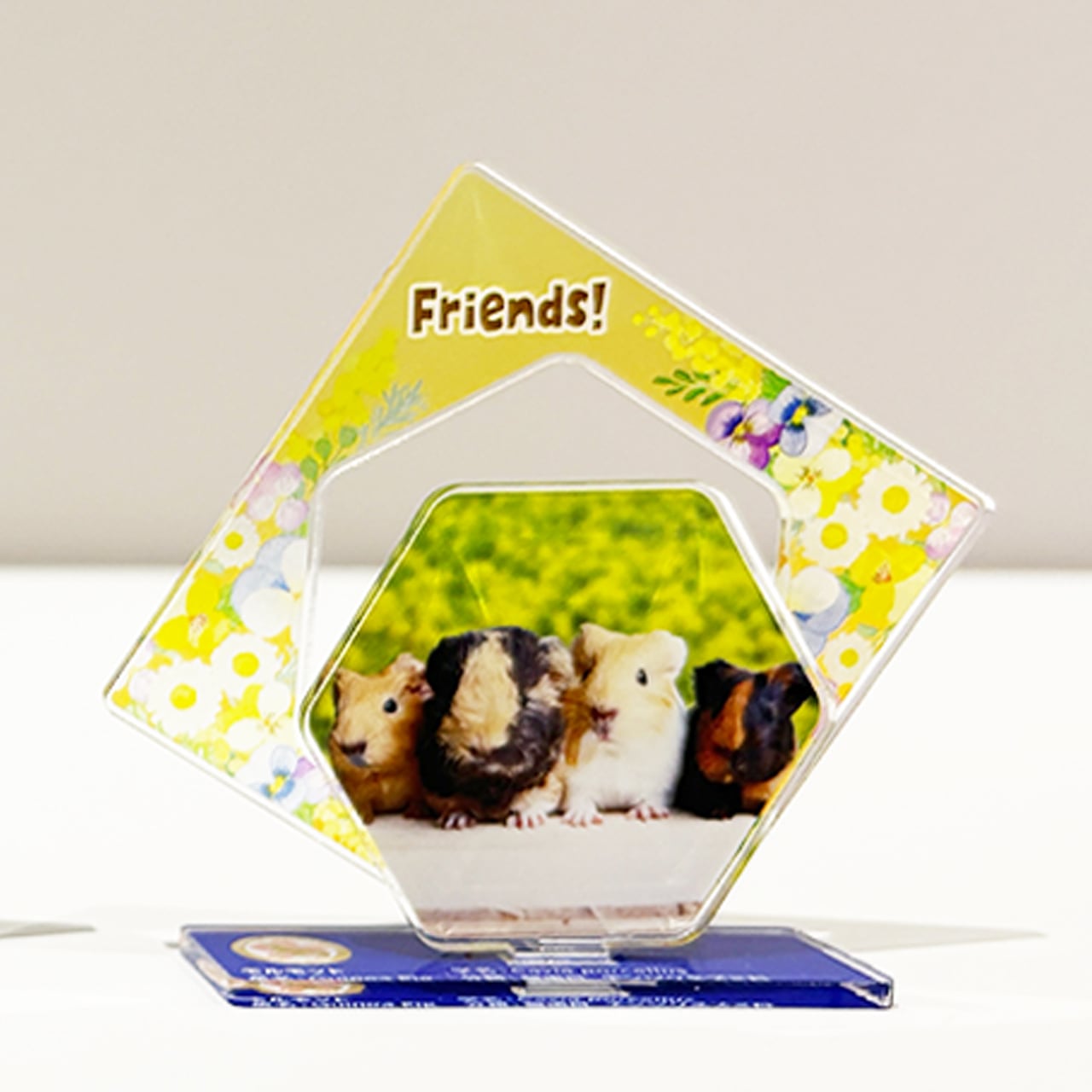 生活雑貨 | ZOOっとながの