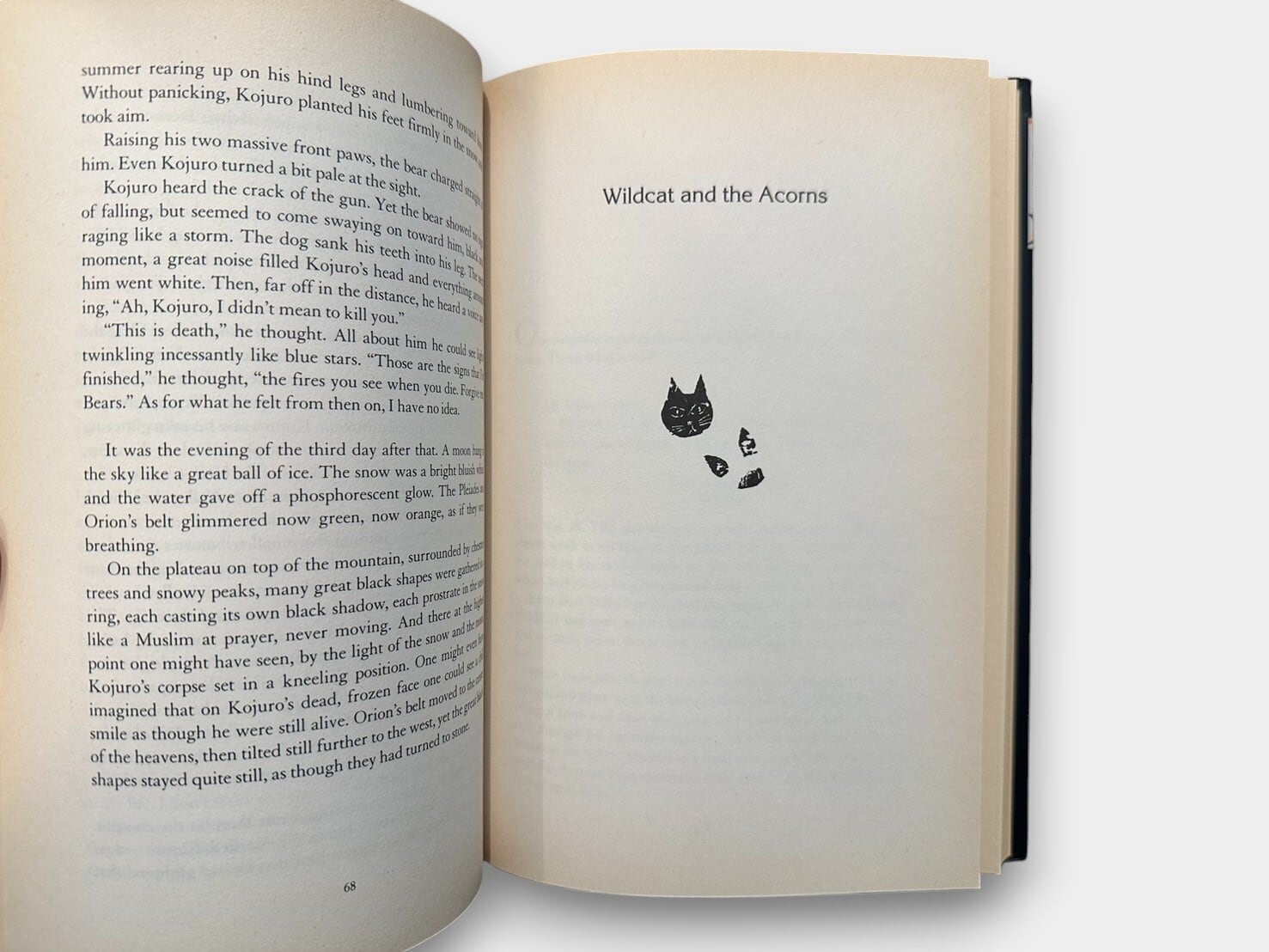 SJ269】Once and Forever: The Tales of Kenji Miyazawa(1993) / Kenji