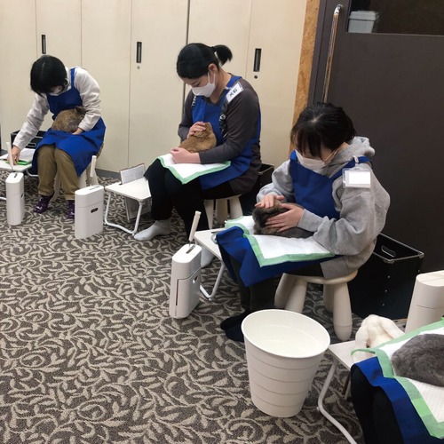 第22回プログルーミング講座