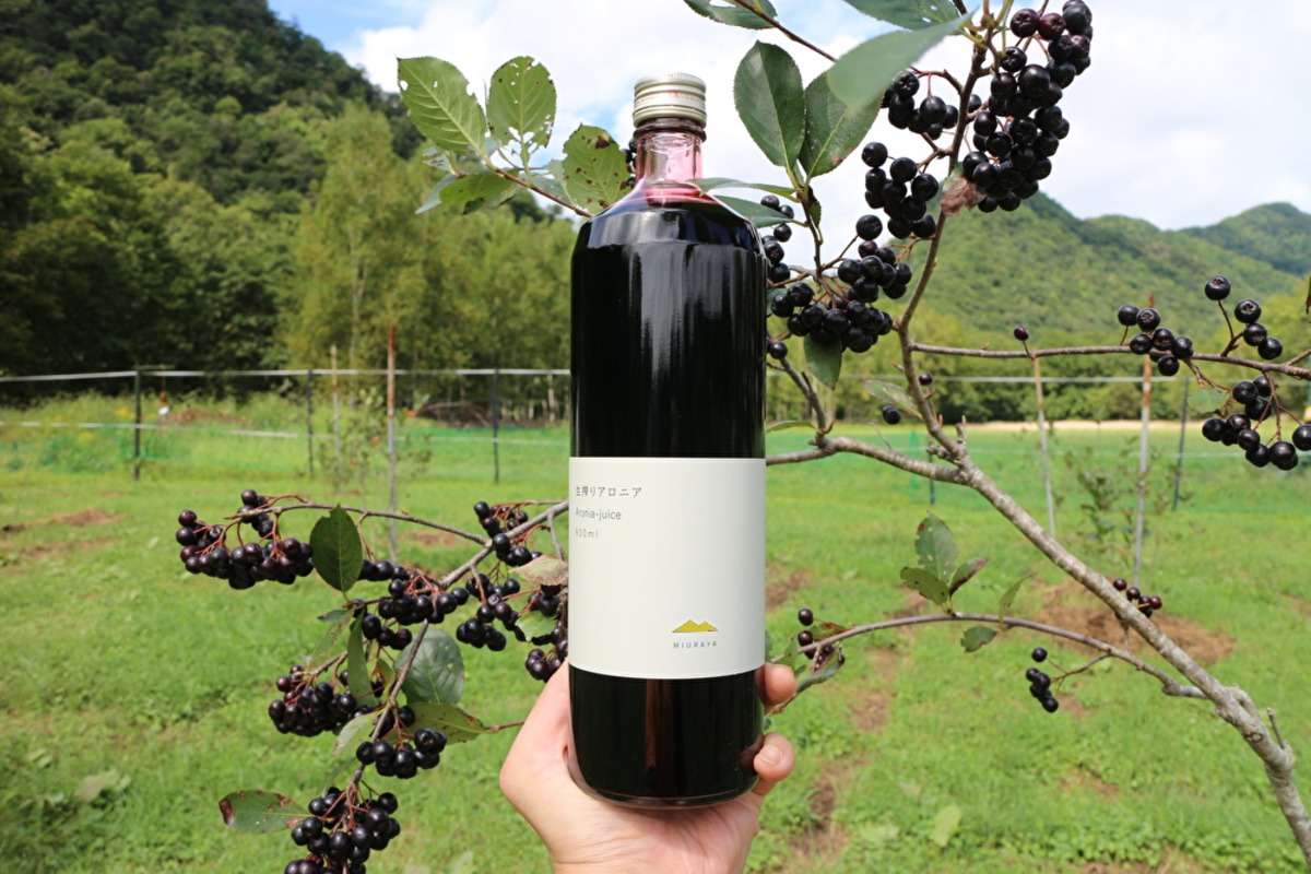 生搾りアロニア900ｍｌ　12本 12本セット】飲むだけの朝活。生搾りアロニア900ml12本（約1年分