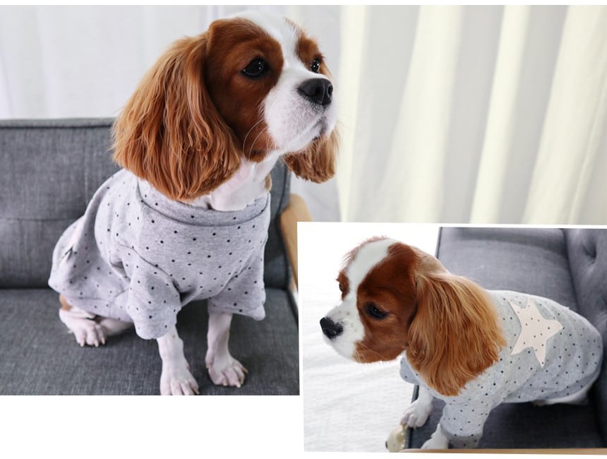 星Tシャツ タンクトップ 犬の服 室内着 シンプル 小型犬 中型犬 秋冬 犬服 抜け毛防止 犬 ドッグウェア top13