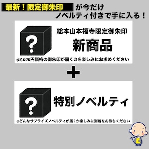 《残り1点限定！》サプライズシークレット御朱印【デザイン非公開】➕特別ノベルティ《金運上昇祈願済み》