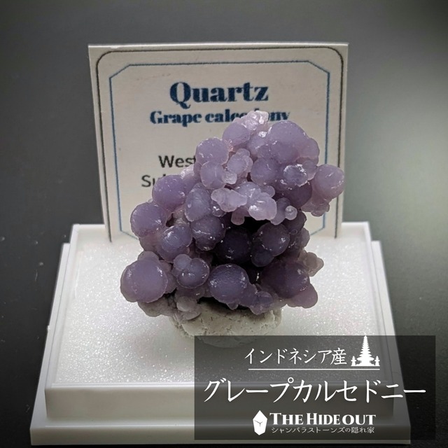 店長気まぐれ仕入れ品014 グレープカルセドニー（グレープクォーツ/グレープアゲート）原石標本 円環キラピカ