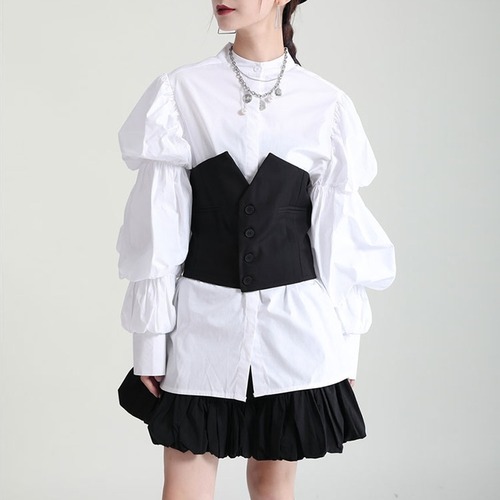 puff sleeve tops / l0825