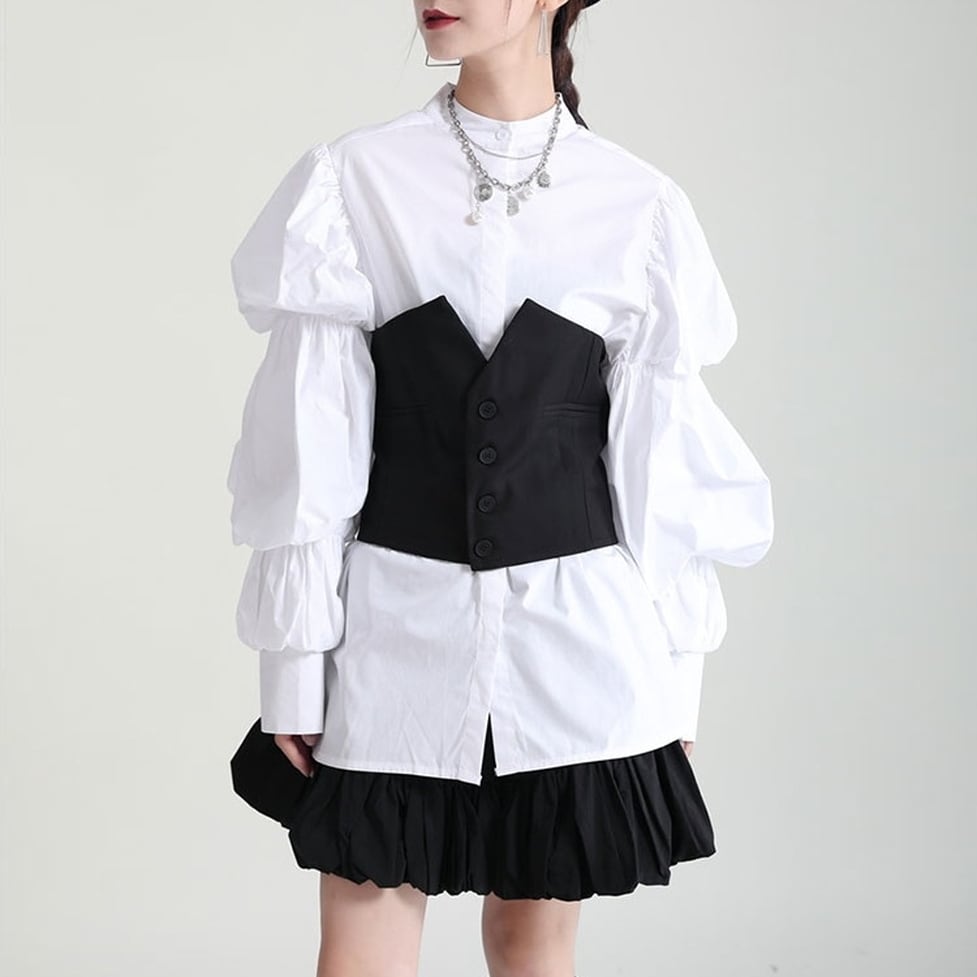 puff sleeve tops / l0825