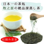 初摘み 深蒸し茶 牧之原産