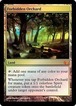MTG《禁忌の果樹園/Forbidden Orchard(FtV:R)》英語 Foil