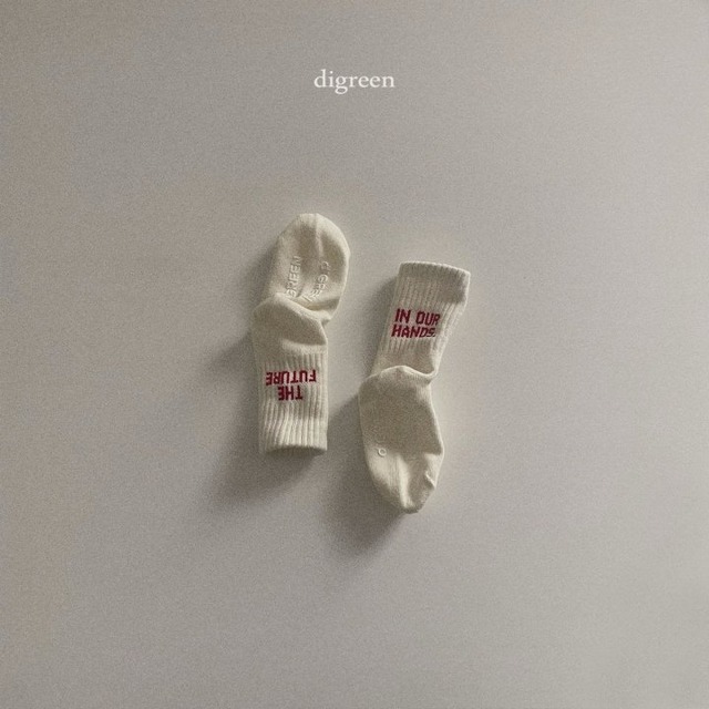 digreen25wn_Future Socks