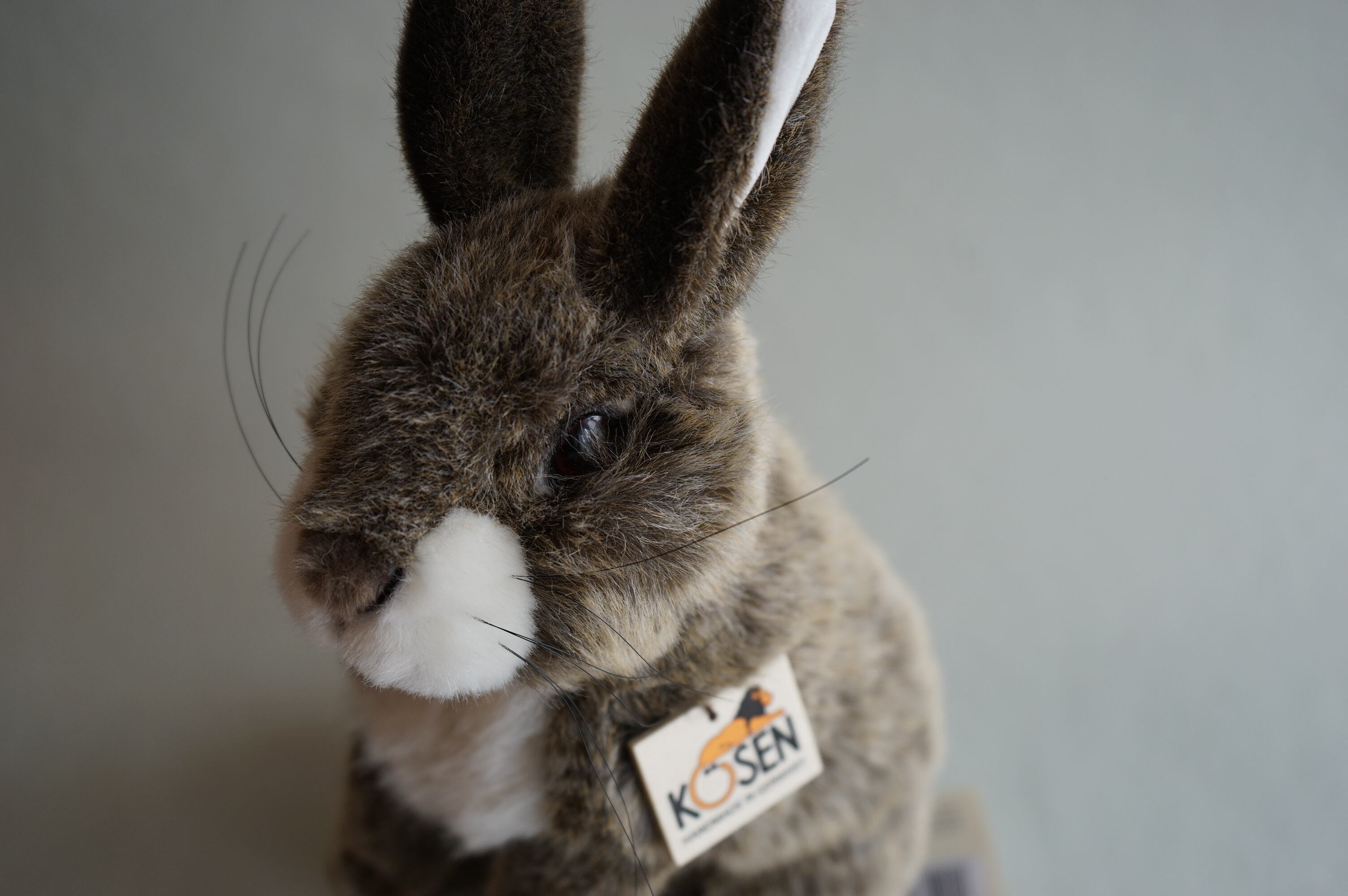 ウサギ 立ち（ベージュ） ケーセン社 | PLAY＋TOYS のはらむら