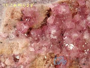 コバルトカルサイト コバルト方解石 Cobalt-bearing Calcite コンゴ TM-0021