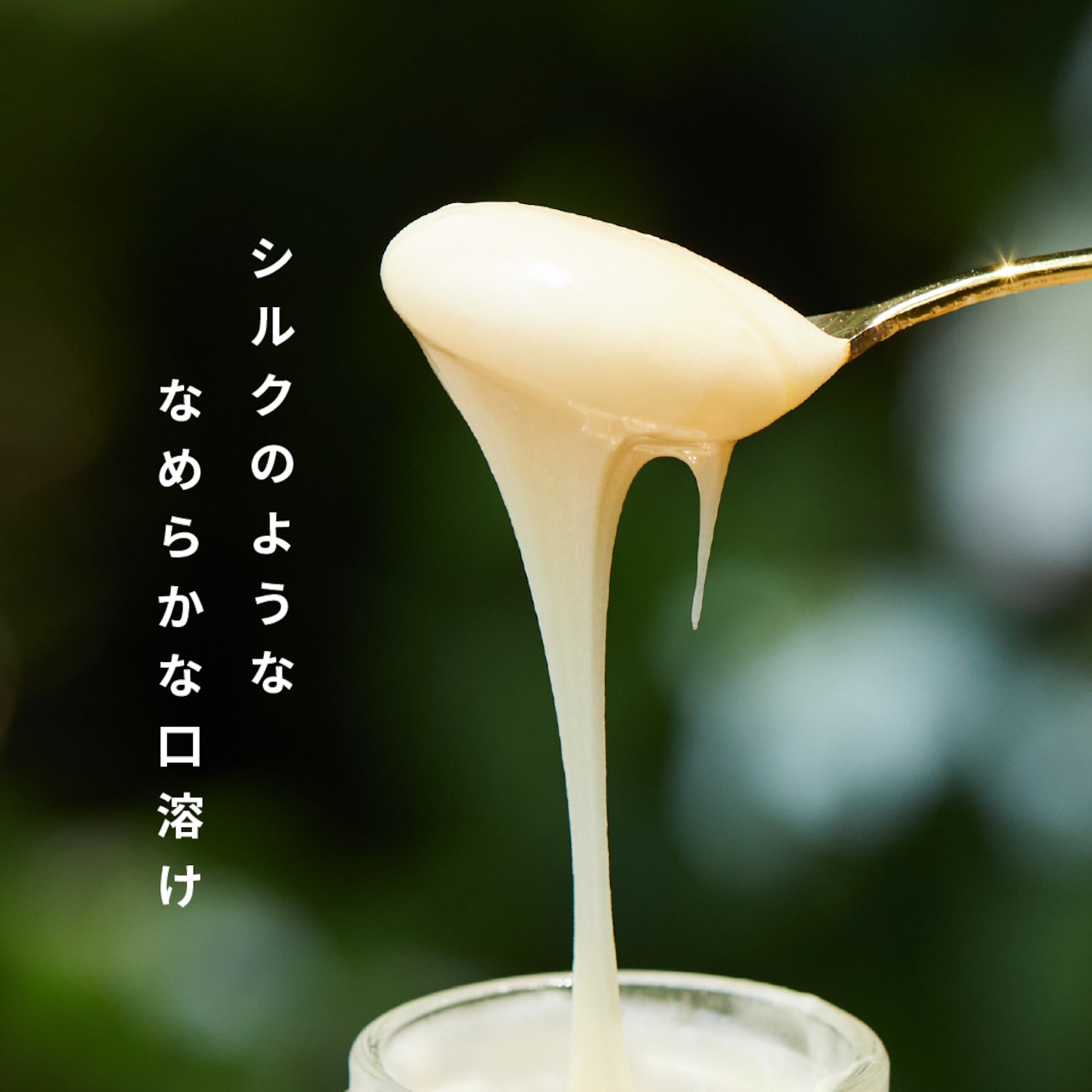 【たくさん使う方におすすめ】白いはちみつ　265g (期間限定・送料無料)