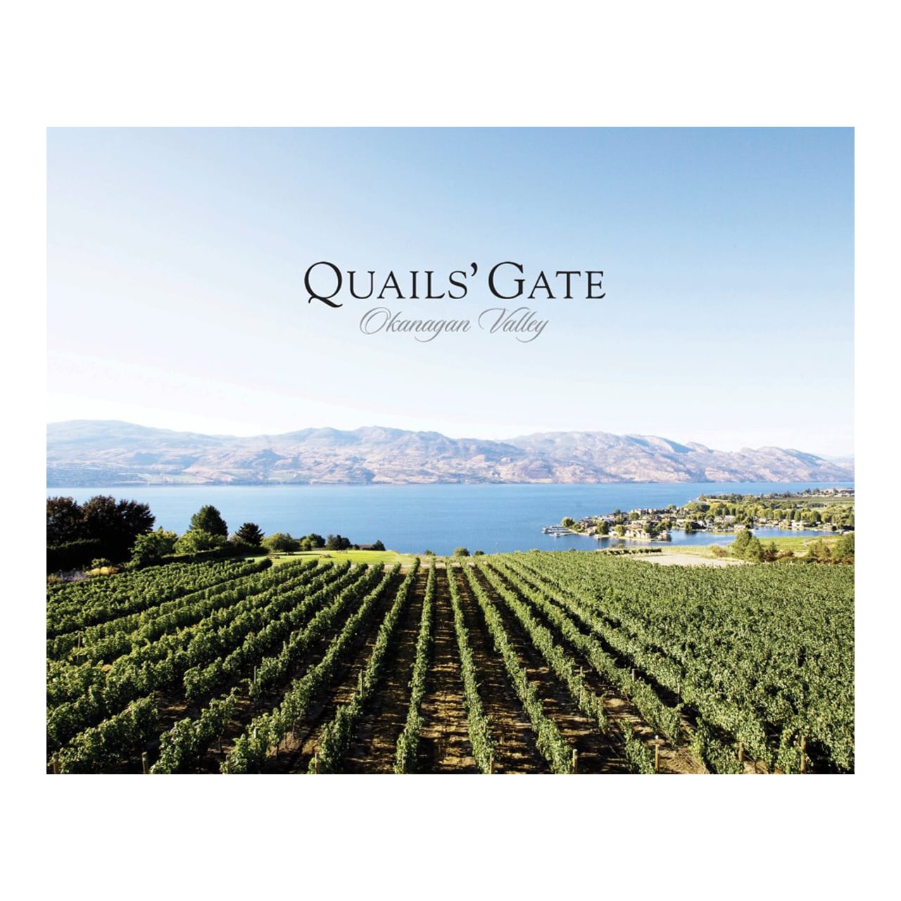Quails’ Gate Pinot Noir 2022 – VQA Okanagan Valley（クエイルズ・ゲイト ピノ・ノワール 2022）