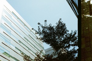 Konica C35 Flashmatic 整備済みフィルムカメラ｜本革抹茶グリーン・3ヶ月保証