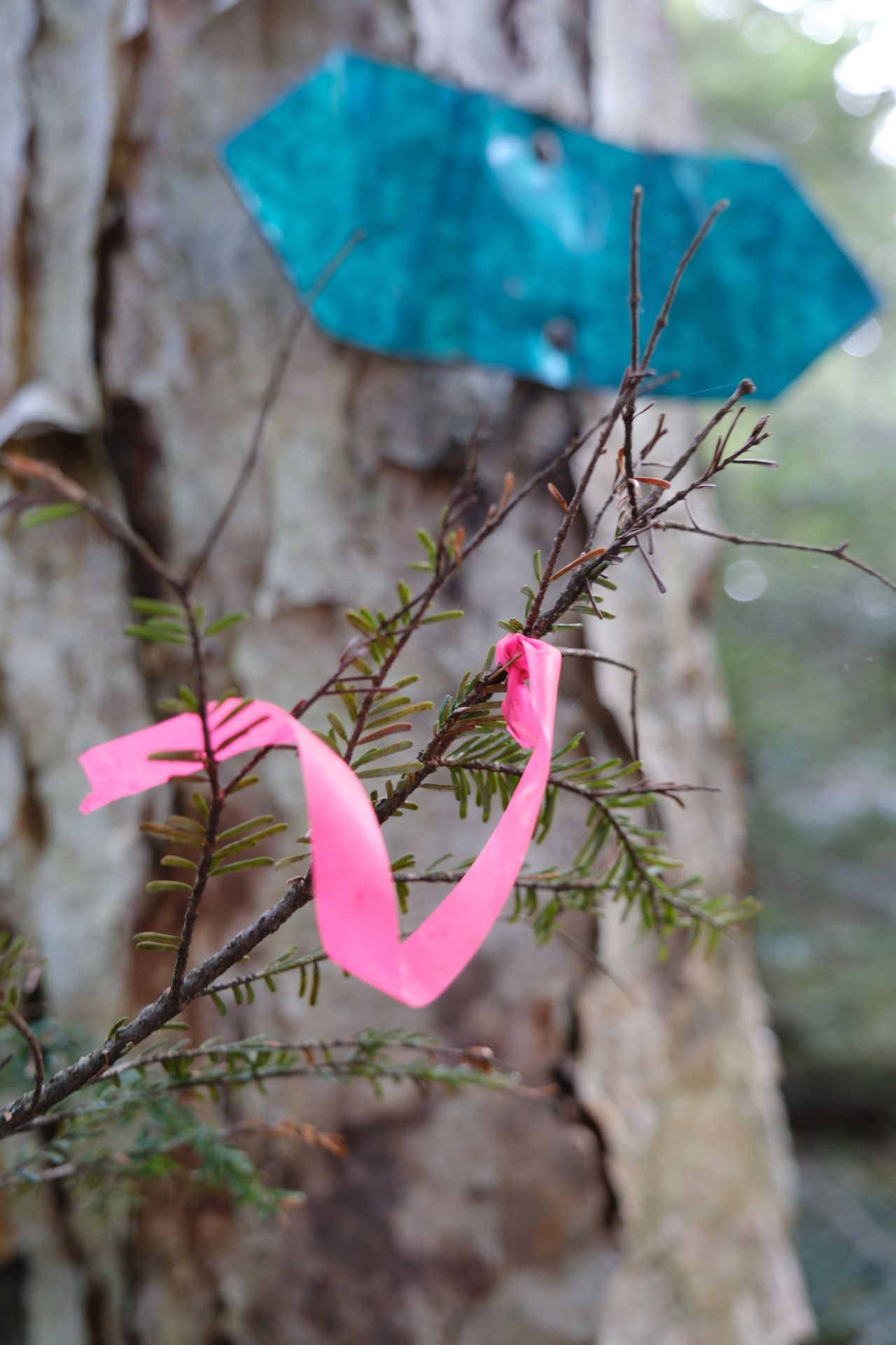 北八ヶ岳の山小屋のzine(小冊子)3つの小屋・画像13