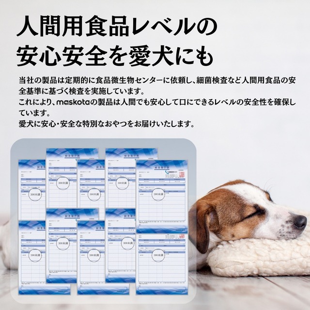 maskota 無添加 国産 手作り 鶏むね肉とブルーベリー スナック ジャーキー 200g