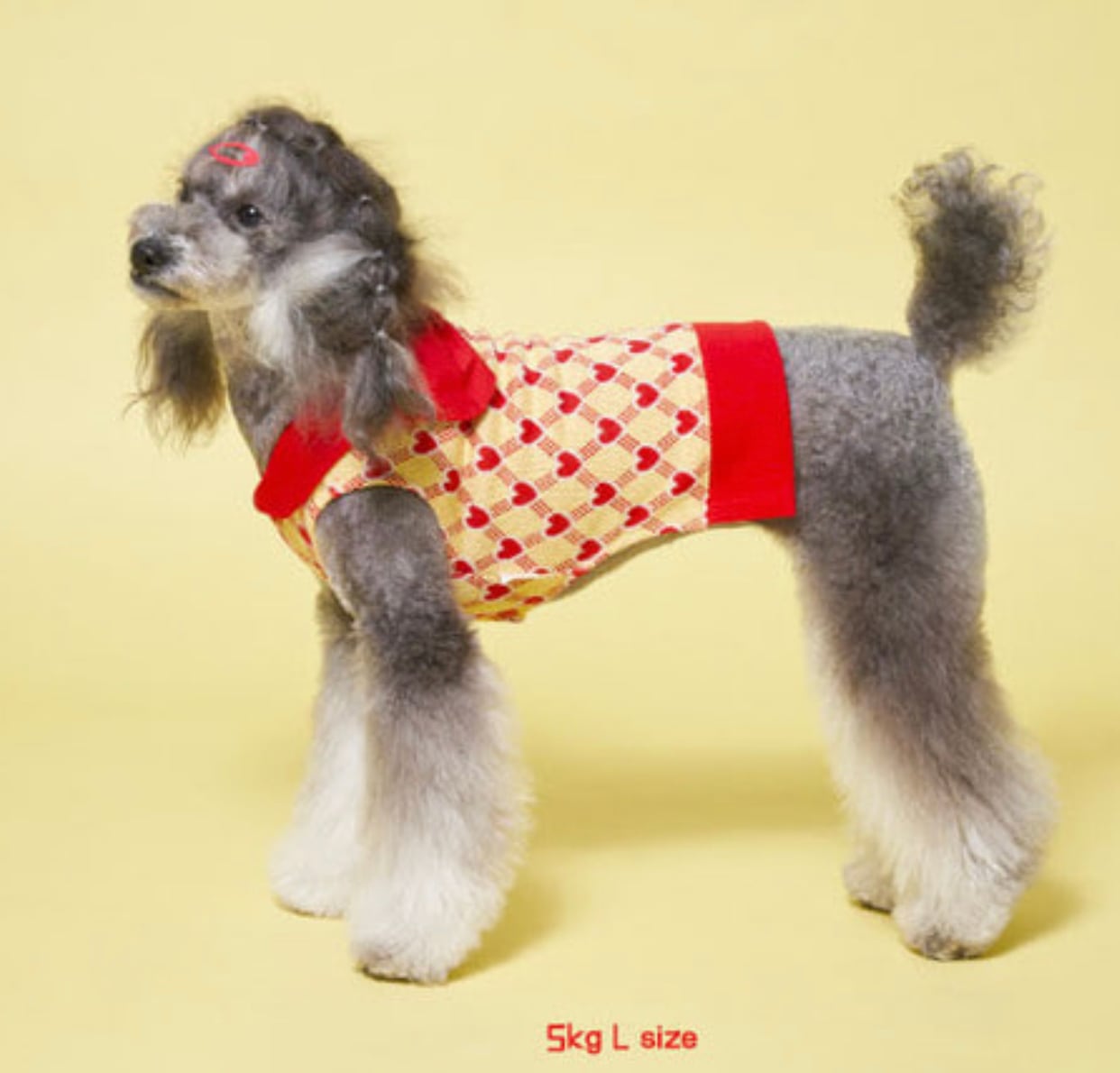 【SALE】 big ribbon knit vest S ~ 2XL 2color  /  犬服 春夏 新作 ドッグウェア ニット ベスト 可愛い 犬の服 袖なし お揃い b48
