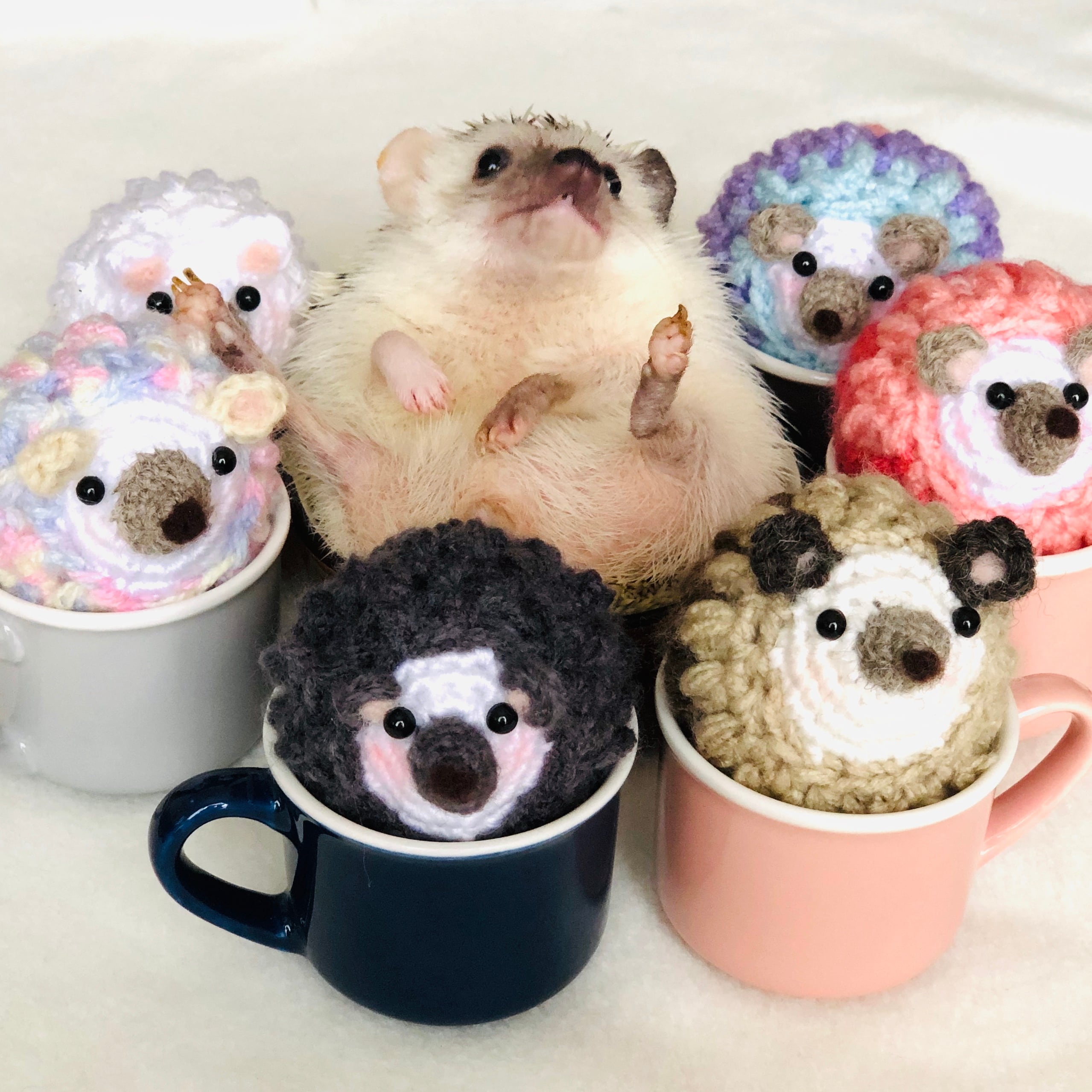 はりねずみ ピンクッション インスタ映えにかわいい ハリネズミ 編み