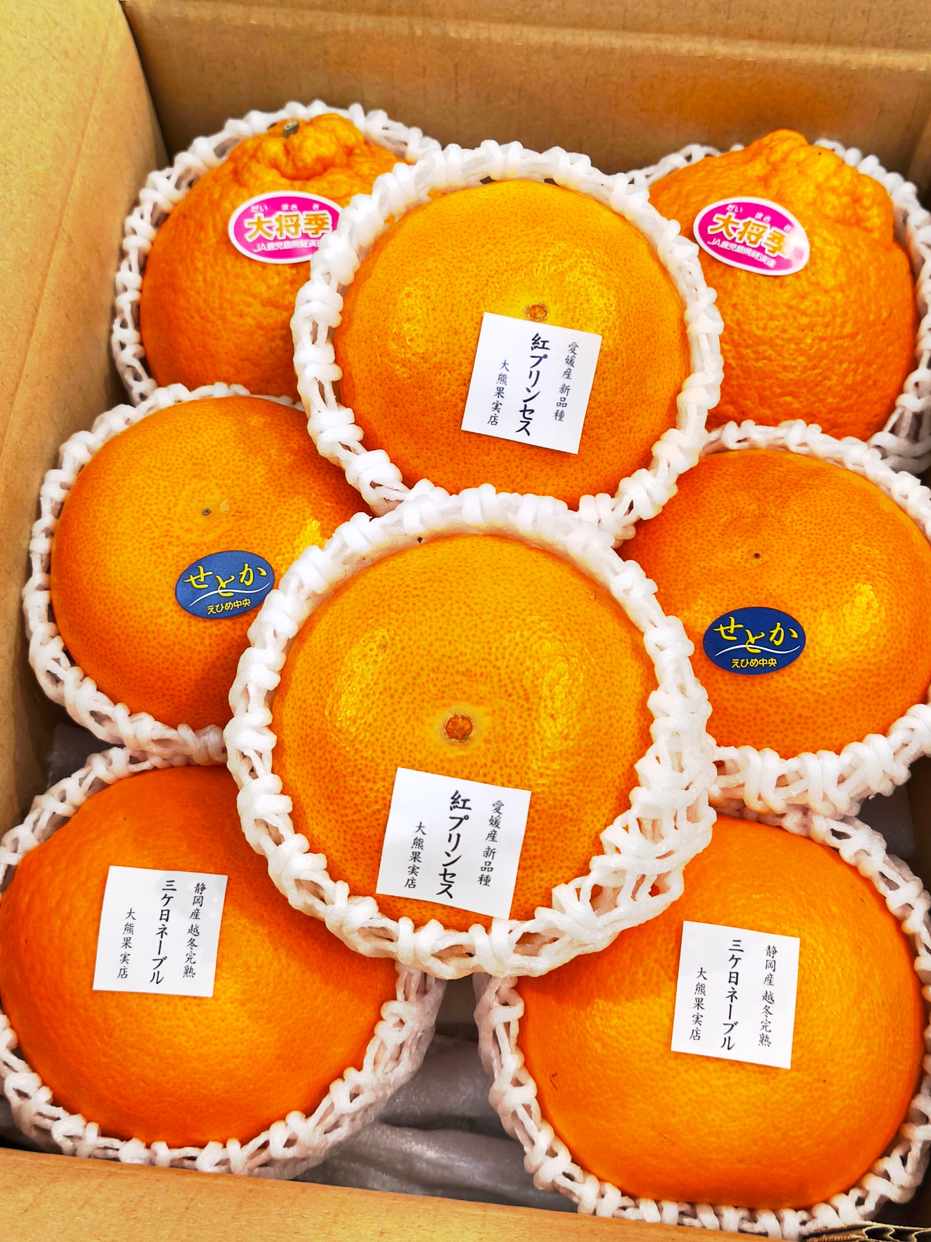 柑橘玉手箱登場 贅沢な食べ比べしてくださいね 4種盛りです