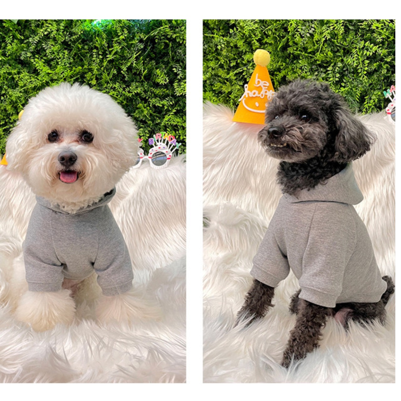 【予約】型紙のみ｜犬用フーディ（2タイプ）｜P1721｜サイズS〜XXL｜商用利用OK
