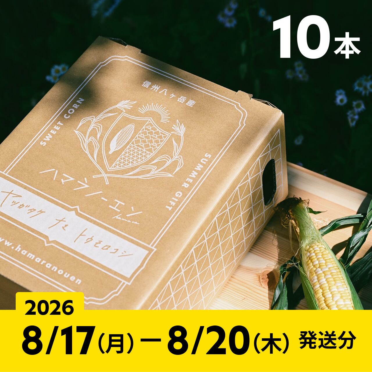 2026【通常予約／10本】八ヶ岳生とうもろこし／ギフトボックス入り／8