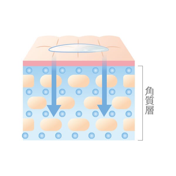 DiO（ディオ）全身導入化粧水（ミストタイプ）85ml | Life Spark